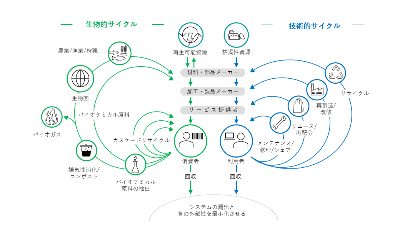 サーキュラーエコノミーとは？ 3Rとの違いや取り組み事例まで